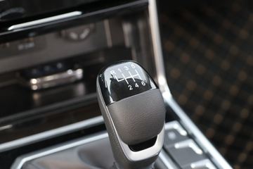 ���� ��; 2020�� �콢�� 2.0T���� 150���� ���� ��˫��Ƥ��(����)ͼƬ