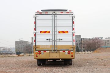 东风超龙 VAN/轻客外观图片