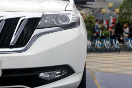 龙7皮卡&nbsp;皮卡外观                                                图片