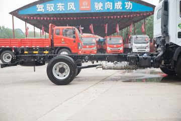 ���� ������D6-N ���ܰ� 115���� 4.09�׵�����ʽ�Ῠ(����)ͼƬ