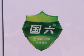 福瑞卡F6&nbsp;冷藏车外观图片
