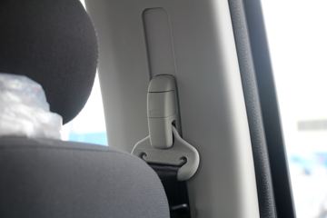 ������ʮ�� �￧TAGA H 2021�� 3.0T���� 142���� ���� �����˫��Ƥ��(����)ͼƬ