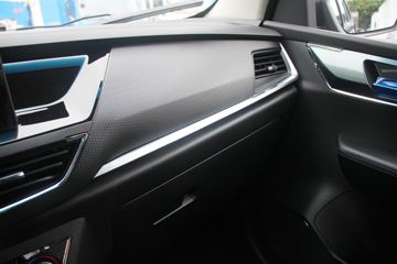 ������ʮ�� �￧TAGA H 2021�� 3.0T���� 142���� ���� �����˫��Ƥ��(����)ͼƬ