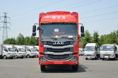 江淮 格尔发A5L中卡 220马力 4X2 6.8米仓栅式载货车(HFC5181CCYP3K2A50S2HV)