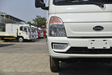 凯马汽车 锐航X1 2.0L 133马力 汽油 4X2 3.95米单排栏板微卡(国六)(KMC1039QA318D6)外观图片