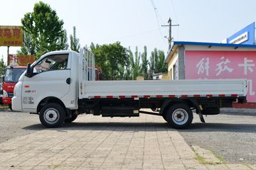凯马汽车 锐航X1 2.0L 133马力 汽油 4X2 3.95米单排栏板微卡(国六)(KMC1039QA318D6)外观图片