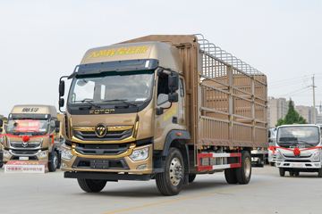 福田 奥铃大黄蜂 皇宫版 245马力 6.8米排半仓栅式载货车(国六)(BJ5186CCYLPFK-AD1)