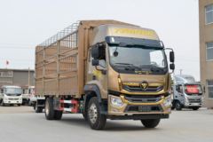 福田 奥铃大黄蜂 皇宫版 245马力 6.8米排半仓栅式载货车(国六)(BJ5186CCYLPFK-AD1)