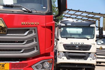 �й����� ����N5G�п� 250���� 4X2 6.75�������ػ���(����)(ZZ1167K511JF1)ͼƬ