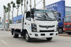 优惠0.5万 邯郸市奥驰V系载货车火热促销中