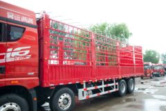 青岛解放 JH6重卡 智尊版2.0 460马力 8X4 8.6米仓栅式载货车(CA5310CCYP25K2L7T4E5A80)