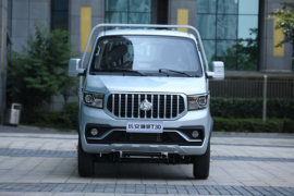 神骐T30&nbsp;载货车外观                                                图片