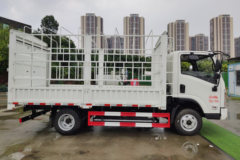 东风华神 T18 4.5T 4.13米单排纯电动仓栅式轻卡(EQ5040CCYLBEV)81.1kWh