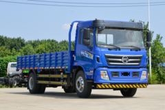 凯马 运腾 220马力 4X2 6.75米栏板载货车(国六)(KMC1180A530P6)