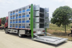 东风商用车 天锦KR中卡 245马力 4X2 6.35米畜禽运输车(国六)(楚风牌)(HQG5180XCQ6DF)