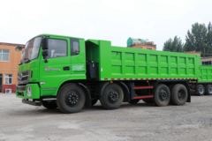 南骏汽车 瑞宇R60D 260马力 8X2 6.2米自卸车(后桥提升)(NJA3310RPD50V)