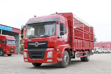 东风新疆 畅行D3V 260马力 6X2 9.5米仓栅式载货车(法士特9挡)(国六)(DFV5253CCYGP6D1)