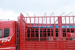 东风新疆 畅行D3V 260马力 4X2 6.7米仓栅式载货车(高顶)(法士特9挡)(国六)(DFV5183CCYGP6D2)