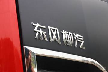  H7ؿ 600 6X4 AMTԶǣ()(LZ4252H7DC1)ͼƬ