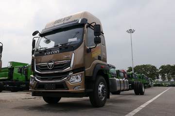 奥铃大黄蜂&nbsp;冷藏车外观图片