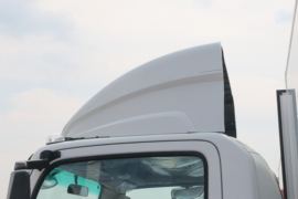 祥龙&nbsp;载货车外观                                                图片