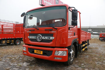 东风 多利卡D9 195马力 4X2 6.8米栏板载货车(后桥6.8T)(国六)(EQ1182L9CDG)