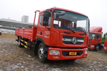 东风 多利卡D9 195马力 4X2 6.8米栏板载货车(平顶)(京六)(EQ1140L9CDG)
