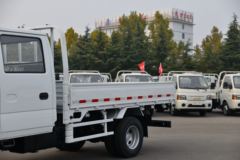 庆铃 五十铃100P 120马力 3.235米双排栏板轻卡(国六)(白色)(QL1043BUHW)