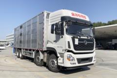 东风商用车 天龙VL 350马力 8X4 畜禽运输车(金龙牌)(XMQ5310CCQ)