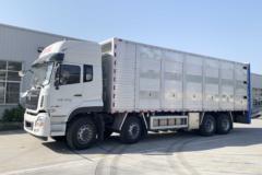 东风商用车 天龙VL 350马力 8X4 畜禽运输车(金龙牌)(XMQ5310CCQ)