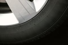 金杯 金海狮 2021款 旅行狮 150马力 2L 9座多用途乘用车