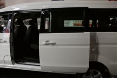 金杯 金海狮 2021款 旅行狮 150马力 2L 9座多用途乘用车