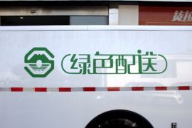 海豚EV&nbsp;电动封闭厢货外观图片