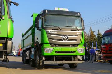  ŷGTL  430 8X4 5.8ж()(BJ3319Y6GRL-46)ͼƬ