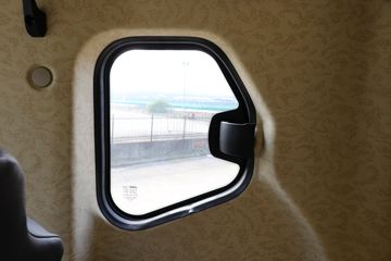 ���� ��ԽQ7�ؿ� 560���� 6X4 AMT�Զ���ǣ����(����)ͼƬ