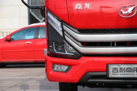 龙驹&nbsp;载货车外观                                                图片