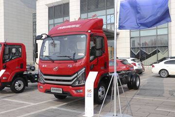 龙驹&nbsp;载货车外观                                                图片