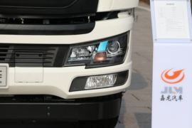 龙腾&nbsp;载货车外观                                                图片