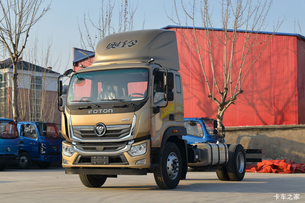 福田奥铃大黄蜂载货汽车新春大促销优惠高达2万起!