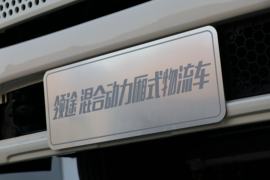 蓝途 电动载货车外观图片