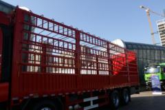 中国重汽 HOWO MAX 490马力 8X4 9.55米排半仓栅式载货车(国六)(ZZ5317CCYV446KF1)