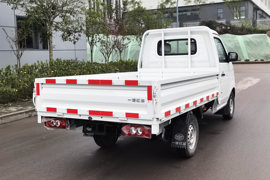 福瑞&nbsp;电动载货车外观图片