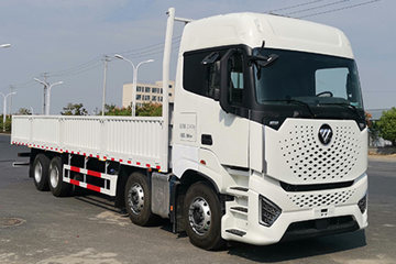  ŷ  580 8X4 9.53AMTԶػ()(BJ1319Y6GRL-12) ͼƬ