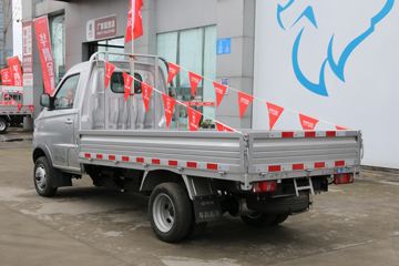 鑫源T20SEV&nbsp;电动载货车外观图片