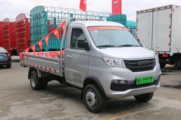 鑫源T20SEV&nbsp;电动载货车外观图片