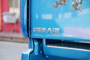  ŷGTL   440 6X4 AMTԶǣ()(BJ4259Y6DHL-25)ͼƬ