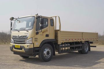 福田 时代领航ES5 金牛王 200马力 4X2 5.8米排半栏板载货车(国六)(BJ1184VLPFK-11)