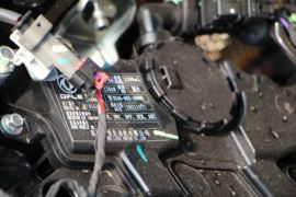 威狮1949&nbsp;皮卡外观                                                图片