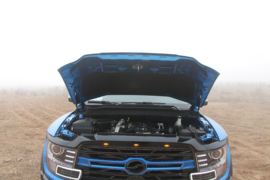 威狮1949&nbsp;皮卡外观                                                图片