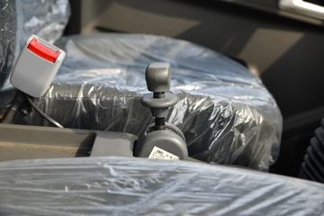 һ������ ��Ź�ʨ 150���� 4.2�׵�����ʽ�ῨͼƬ